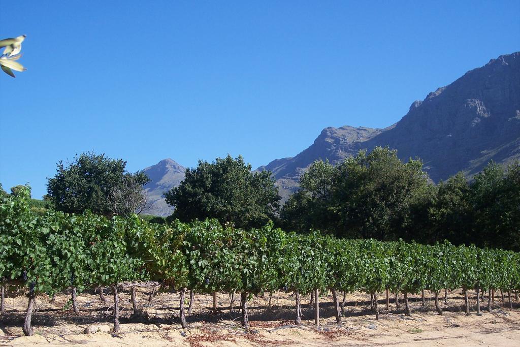 Hotel Sonklip&De Kleine Hoop Stellenbosch Exterior foto
