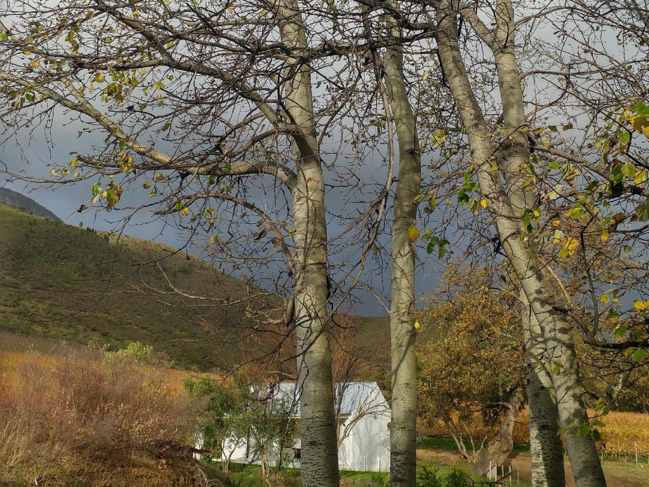 Hotel Sonklip&De Kleine Hoop Stellenbosch Exterior foto