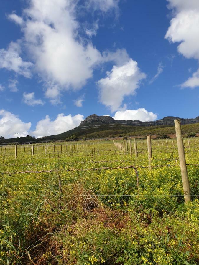 Hotel Sonklip&De Kleine Hoop Stellenbosch Zimmer foto